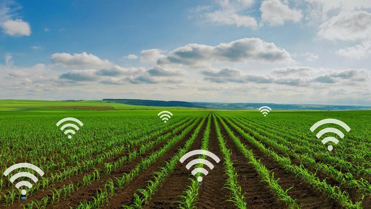 internet en la agricultura|fertilización variable de cultivo